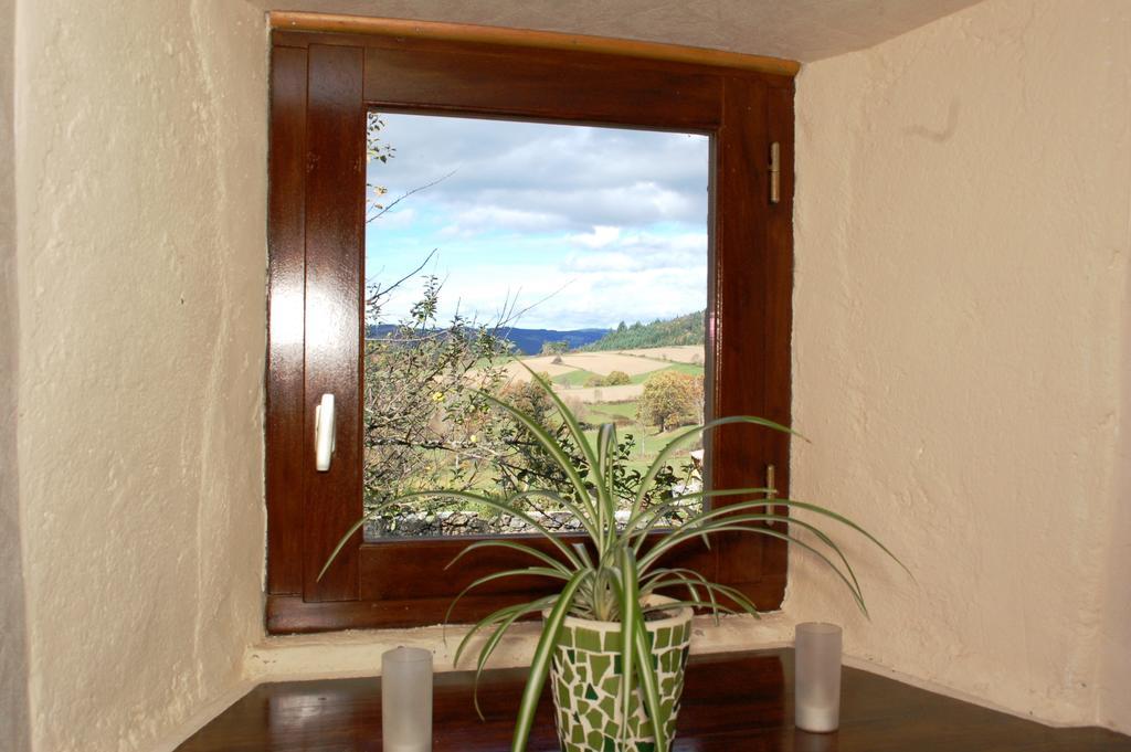Le Grand Trianon Bed & Breakfast Saint-Didier-sur-Doulon Luaran gambar